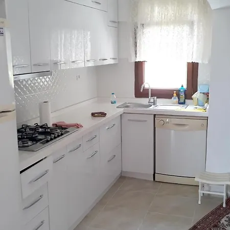 A Flat In A דירה *